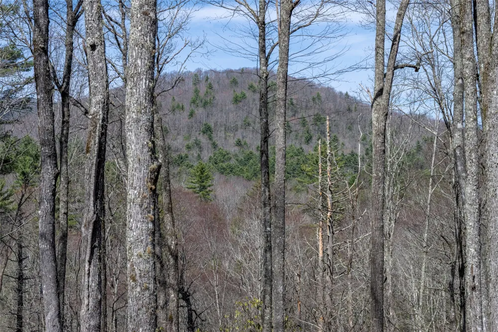 C20 Roaming Road Glenville, NC 28736