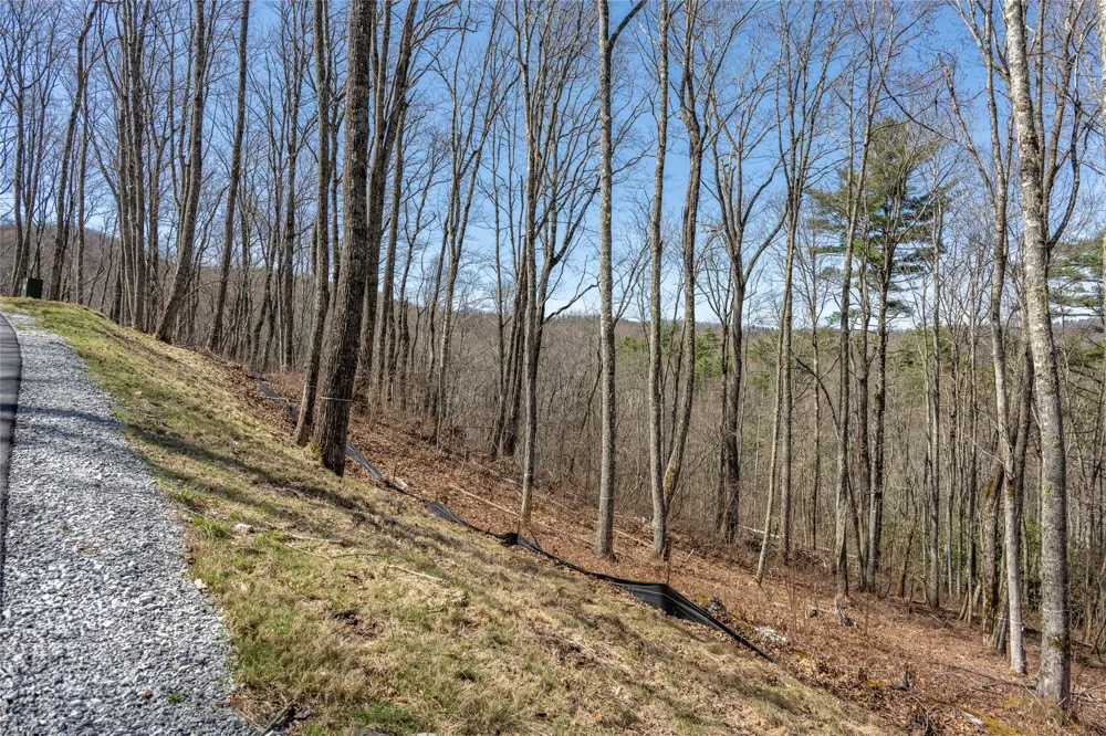 C20 Roaming Road Glenville, NC 28736