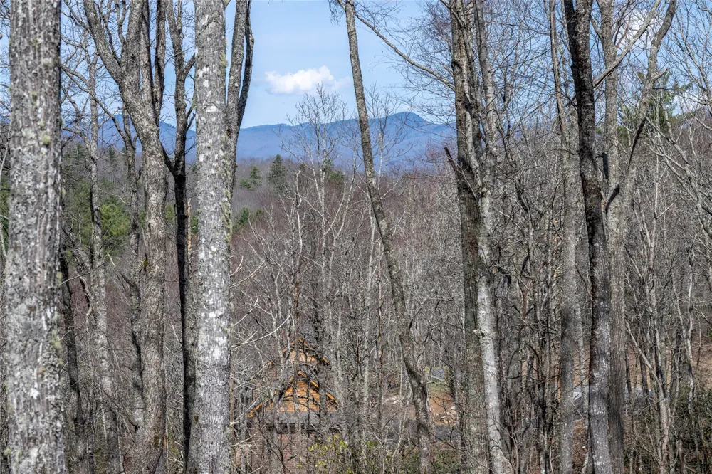 C20 Roaming Road Glenville, NC 28736