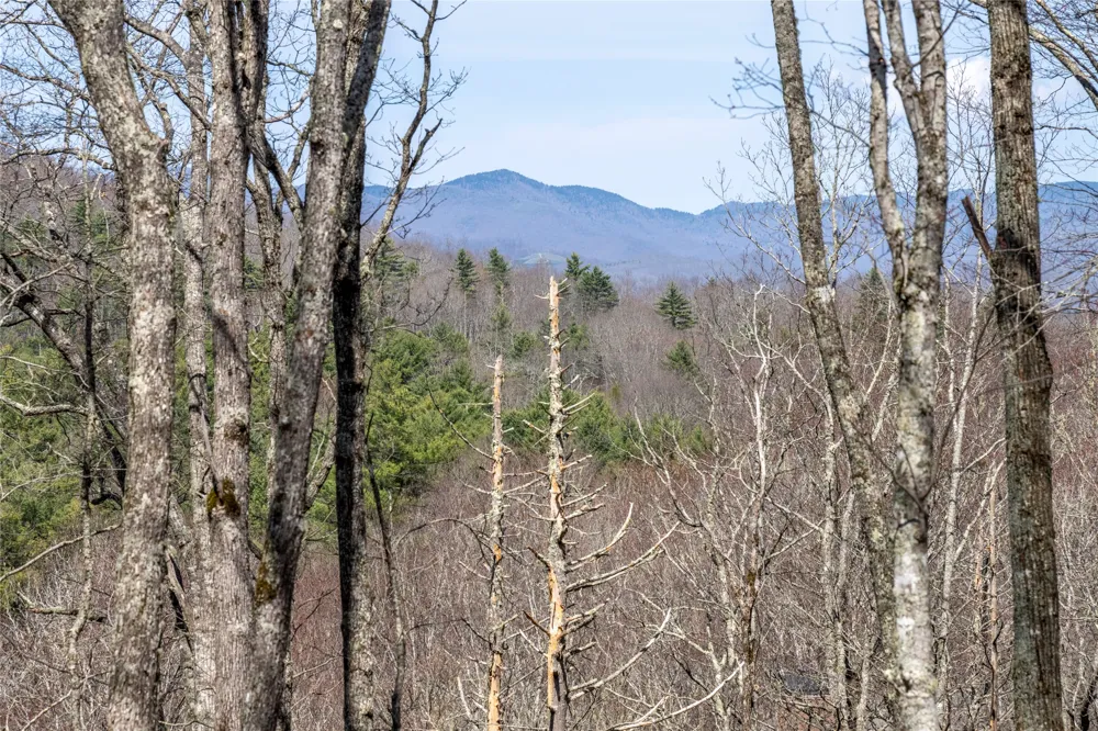 C20 Roaming Road Glenville, NC 28736