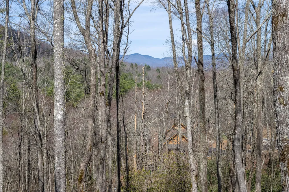 C20 Roaming Road Glenville, NC 28736