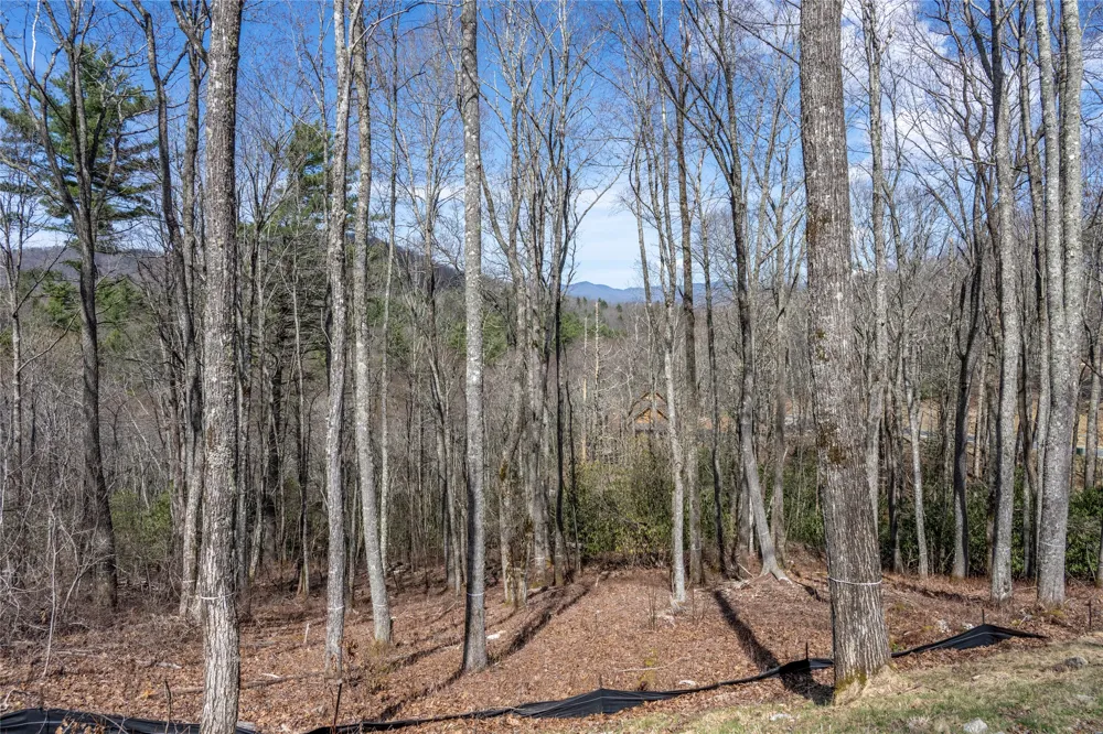 C20 Roaming Road Glenville, NC 28736