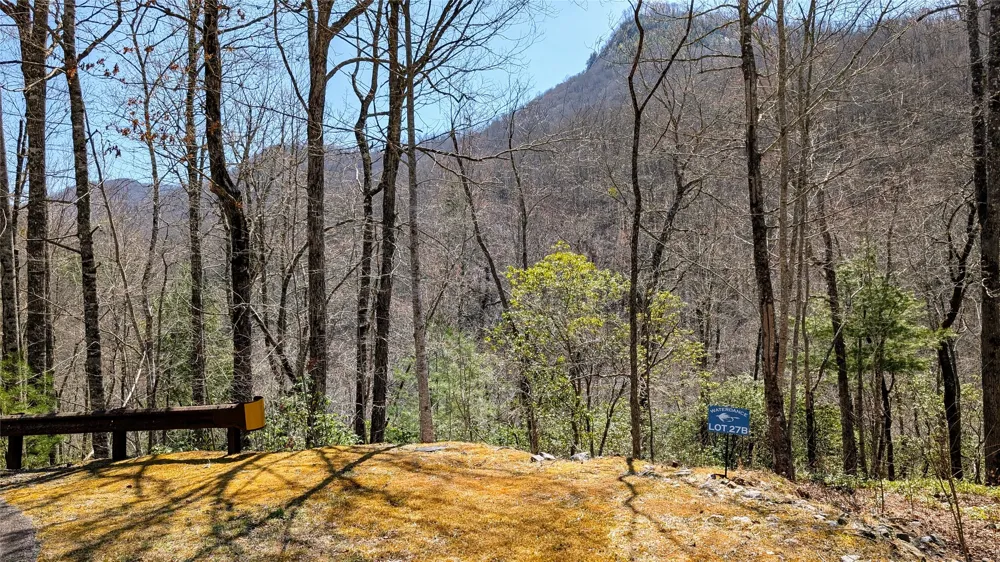26,27B Mayfly Drive Cullowhee, NC 28723