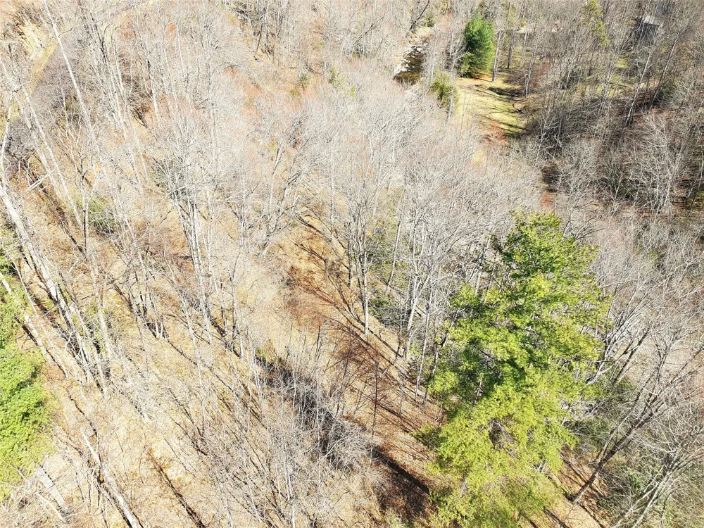10 Hot Creek Lane Tuckasegee, NC 28783