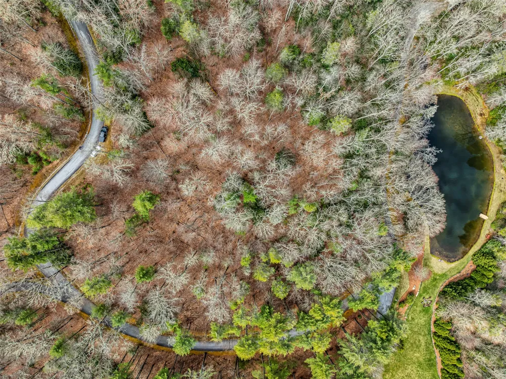 124 Compass Rose Way Cullowhee, NC 28723