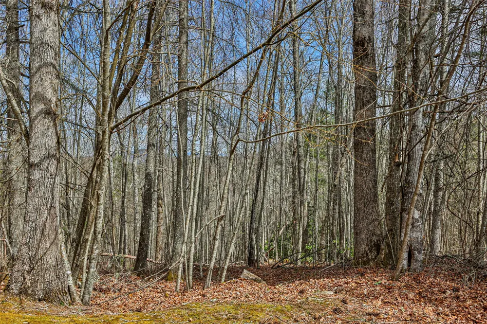 124 Compass Rose Way Cullowhee, NC 28723