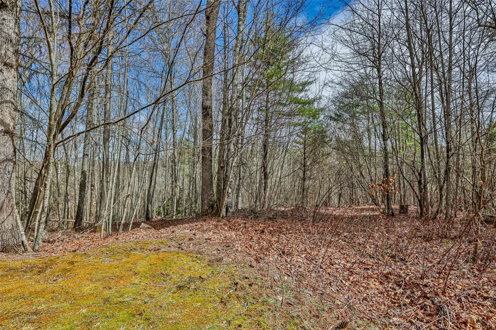 124 Compass Rose Way Cullowhee, NC 28723