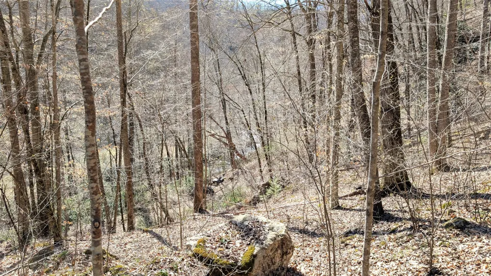 8 & 9 Waterdance Drive Tuckasegee, NC 28783