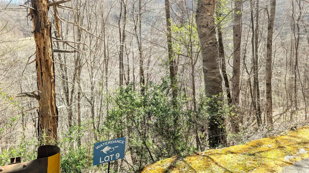 8 & 9 Waterdance Drive Tuckasegee, NC 28783