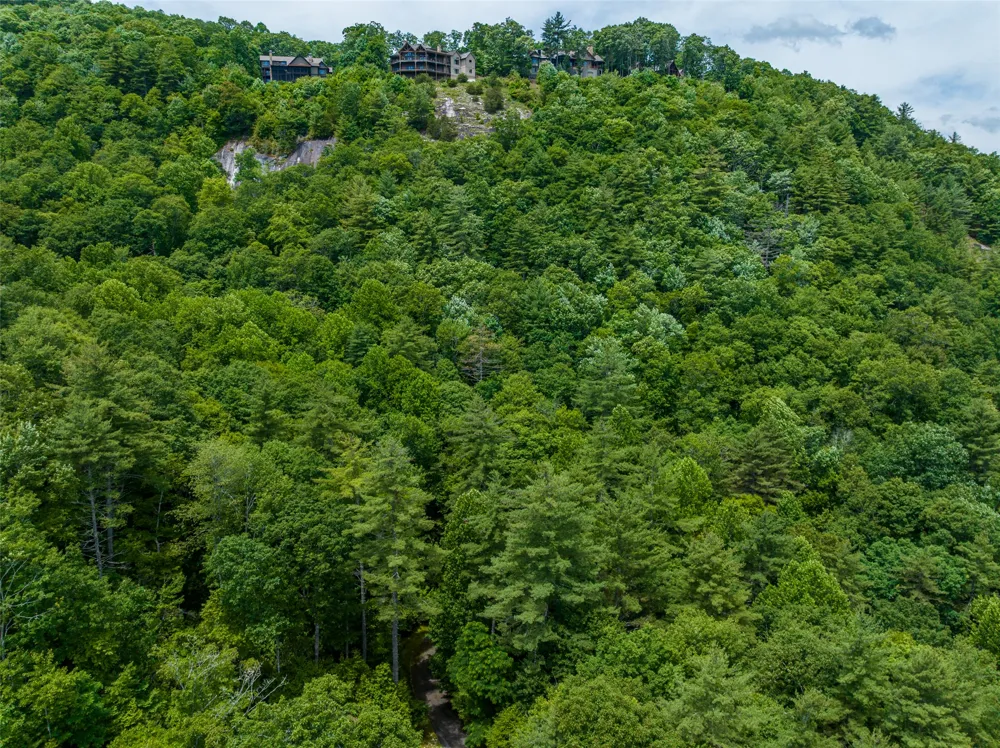 1 Judgement Way Sapphire, NC 28774
