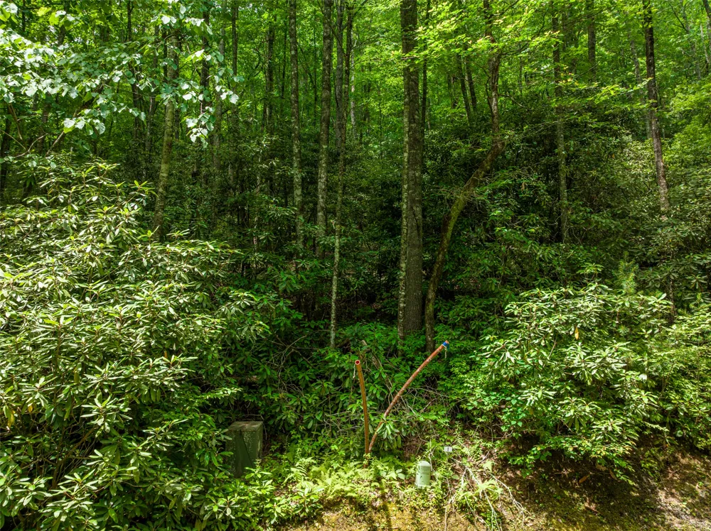 1 Judgement Way Sapphire, NC 28774