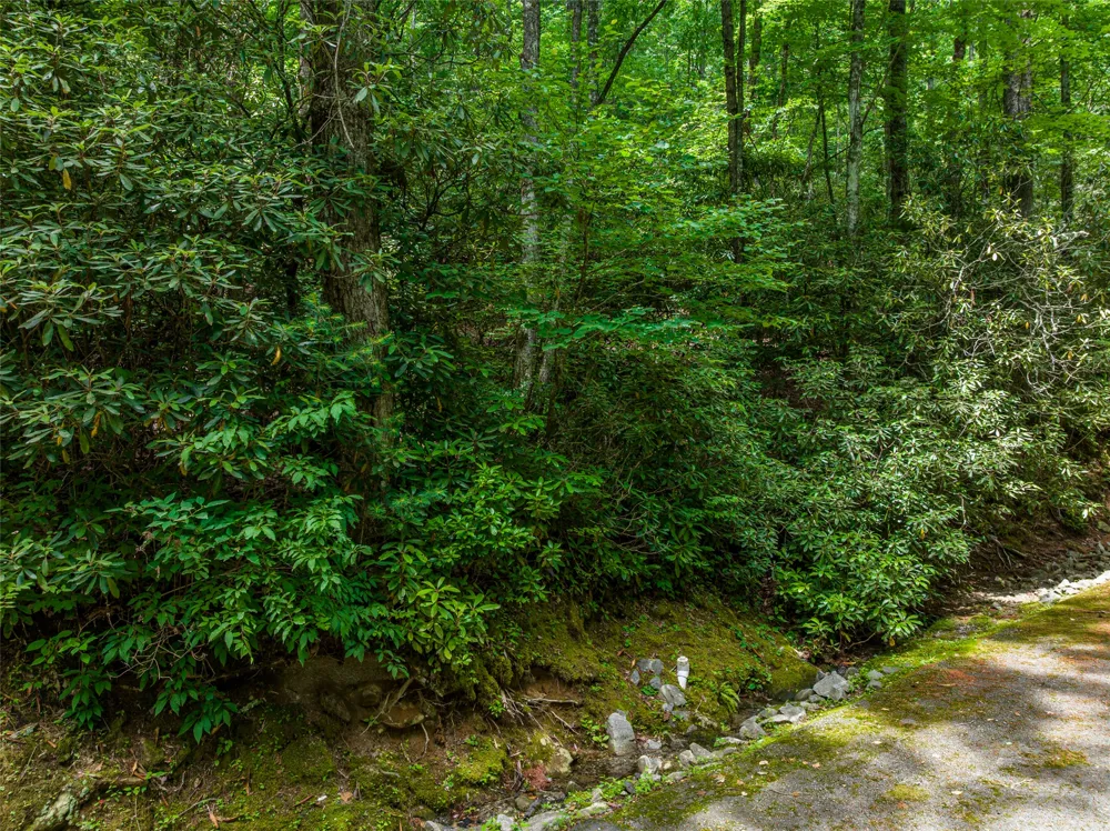 1 Judgement Way Sapphire, NC 28774