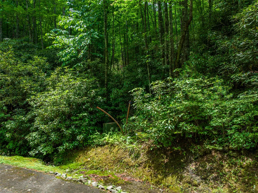 1 Judgement Way Sapphire, NC 28774