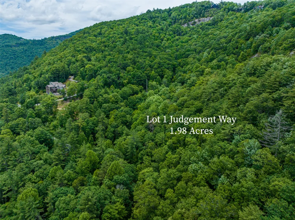 1 Judgement Way Sapphire, NC 28774