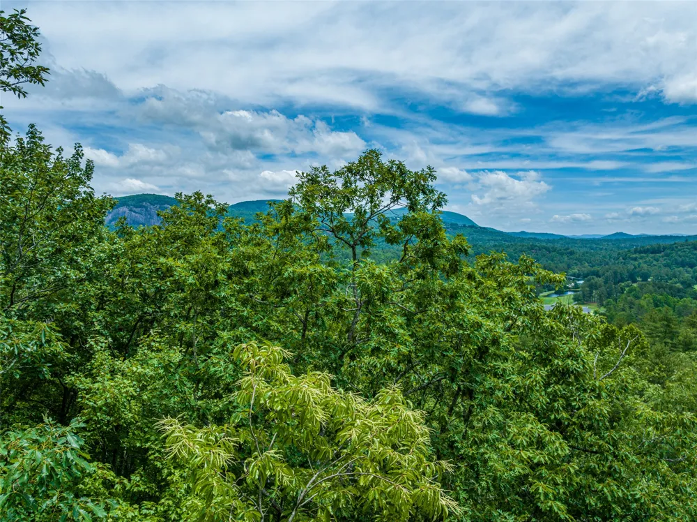 1 Judgement Way Sapphire, NC 28774