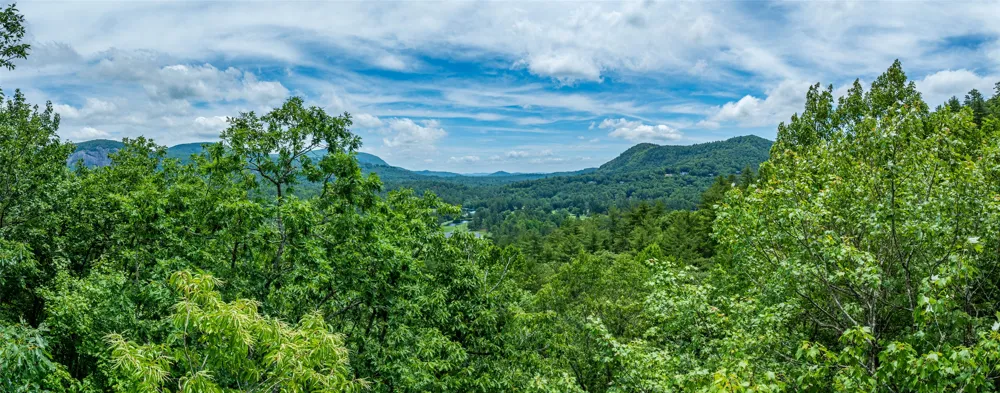 1 Judgement Way Sapphire, NC 28774