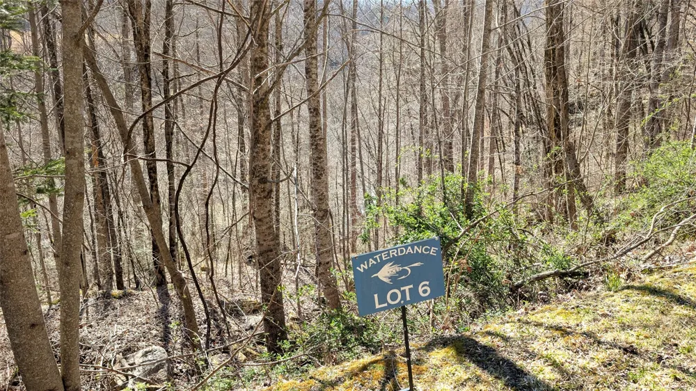 6, 7 Waterdance Drive Cullowhee, NC 28723
