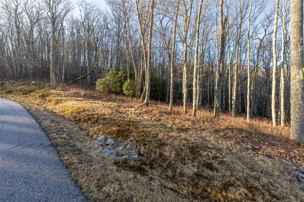 Lot E7 New Settler's Way Glenville, NC 28736