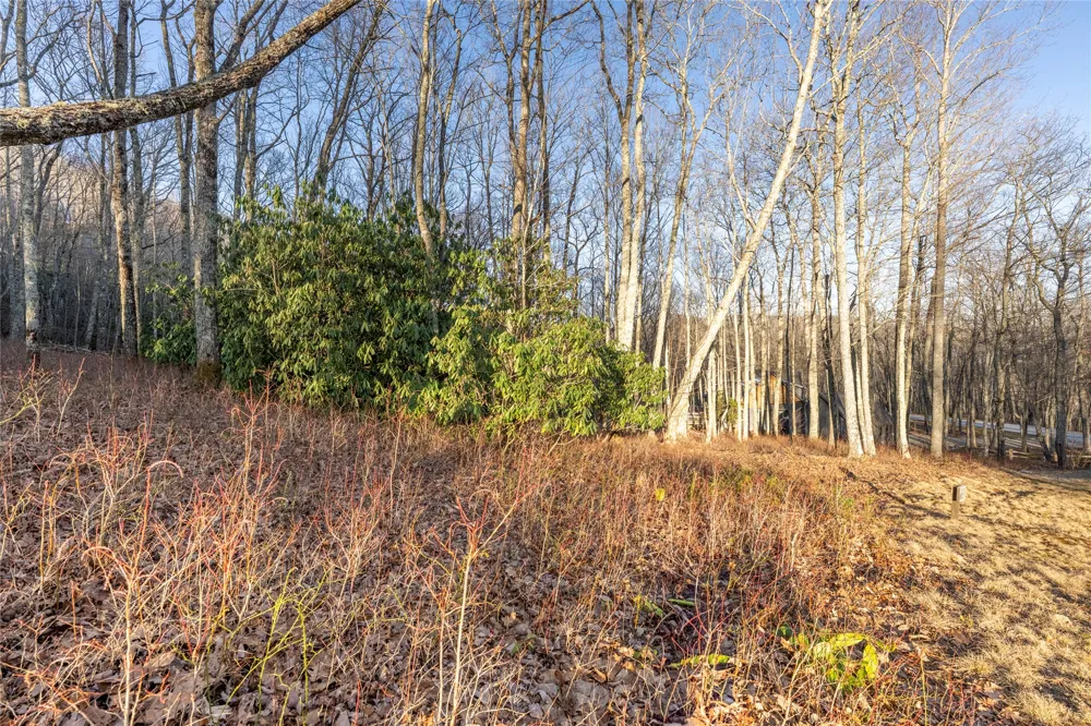 Lot E7 New Settler's Way Glenville, NC 28736