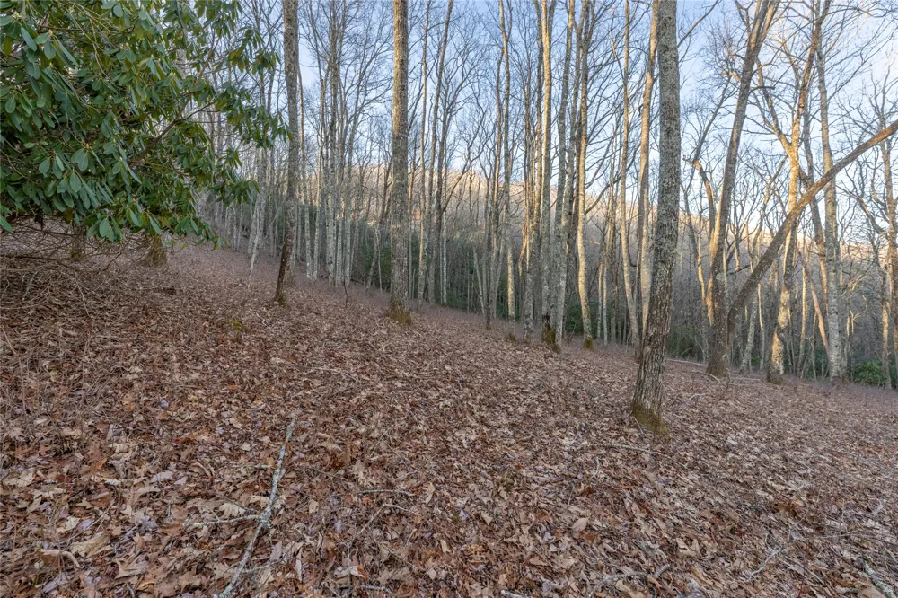 Lot E7 New Settler's Way Glenville, NC 28736