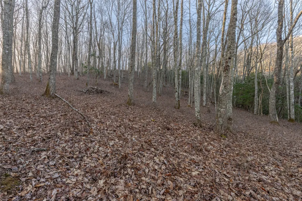 Lot E7 New Settler's Way Glenville, NC 28736