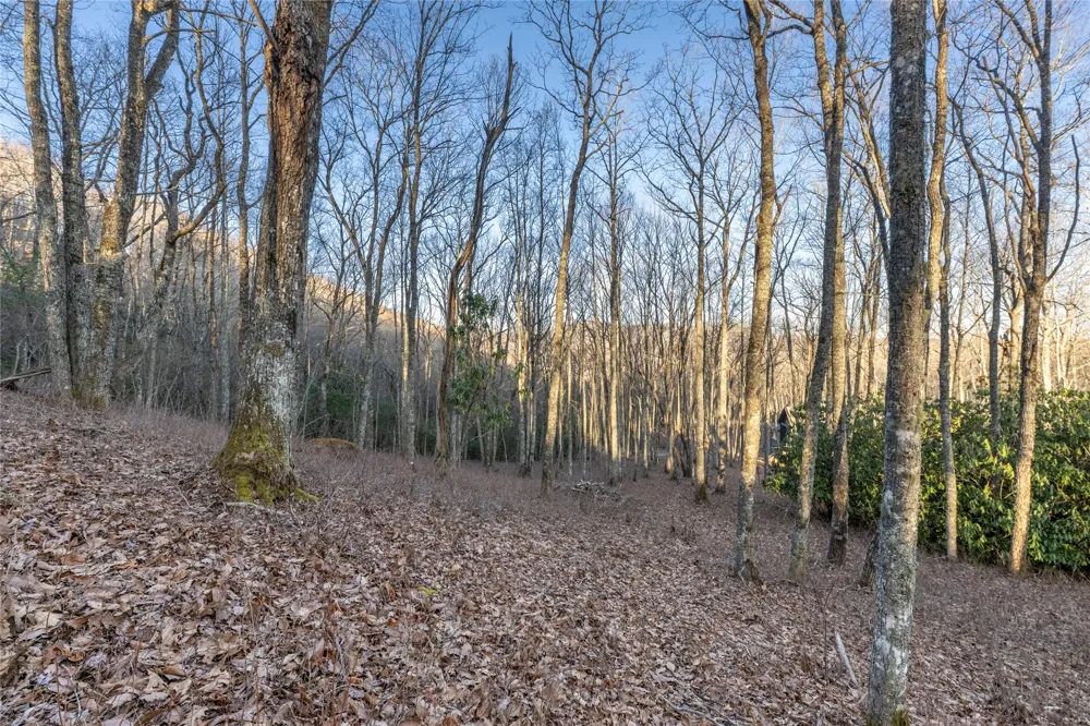 Lot E7 New Settler's Way Glenville, NC 28736