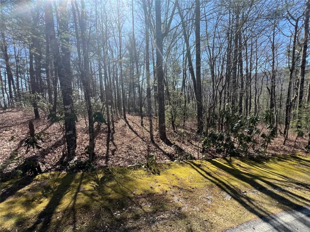 TBD Panther Ridge Road Lake Toxaway, NC 28747