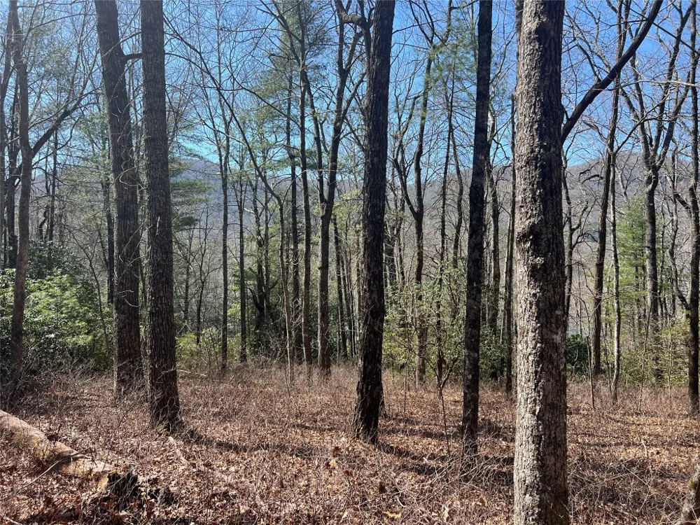 TBD Panther Ridge Road Lake Toxaway, NC 28747