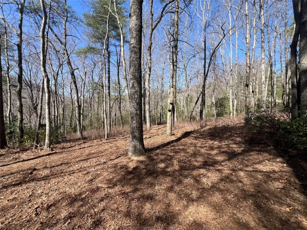 TBD Panther Ridge Road Lake Toxaway, NC 28747