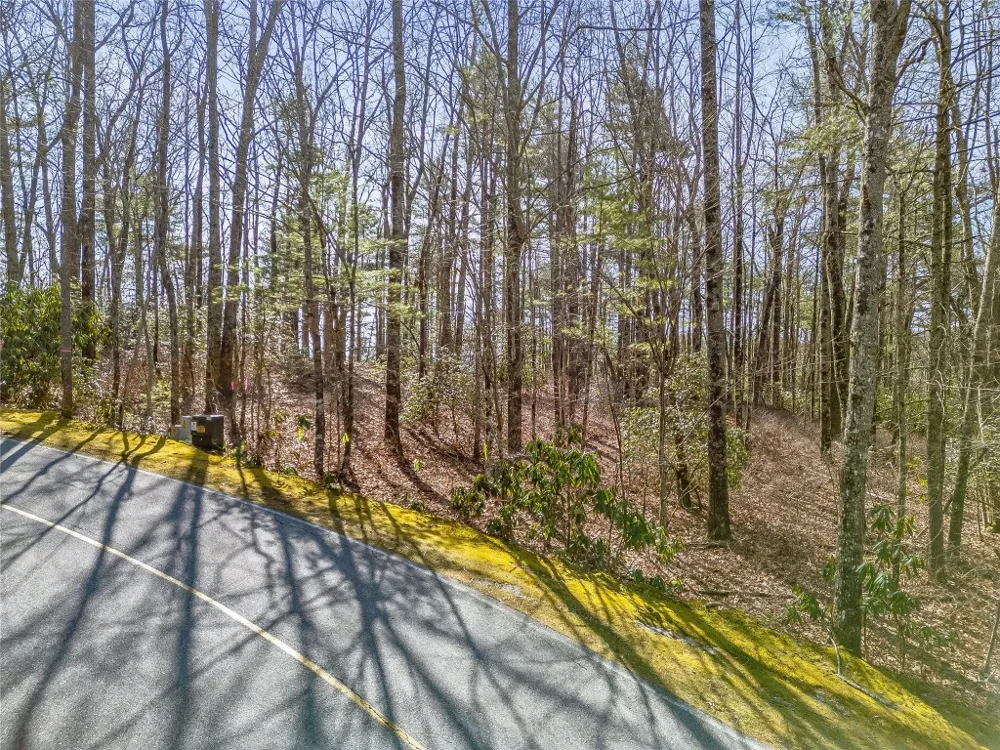 TBD Panther Ridge Road Lake Toxaway, NC 28747