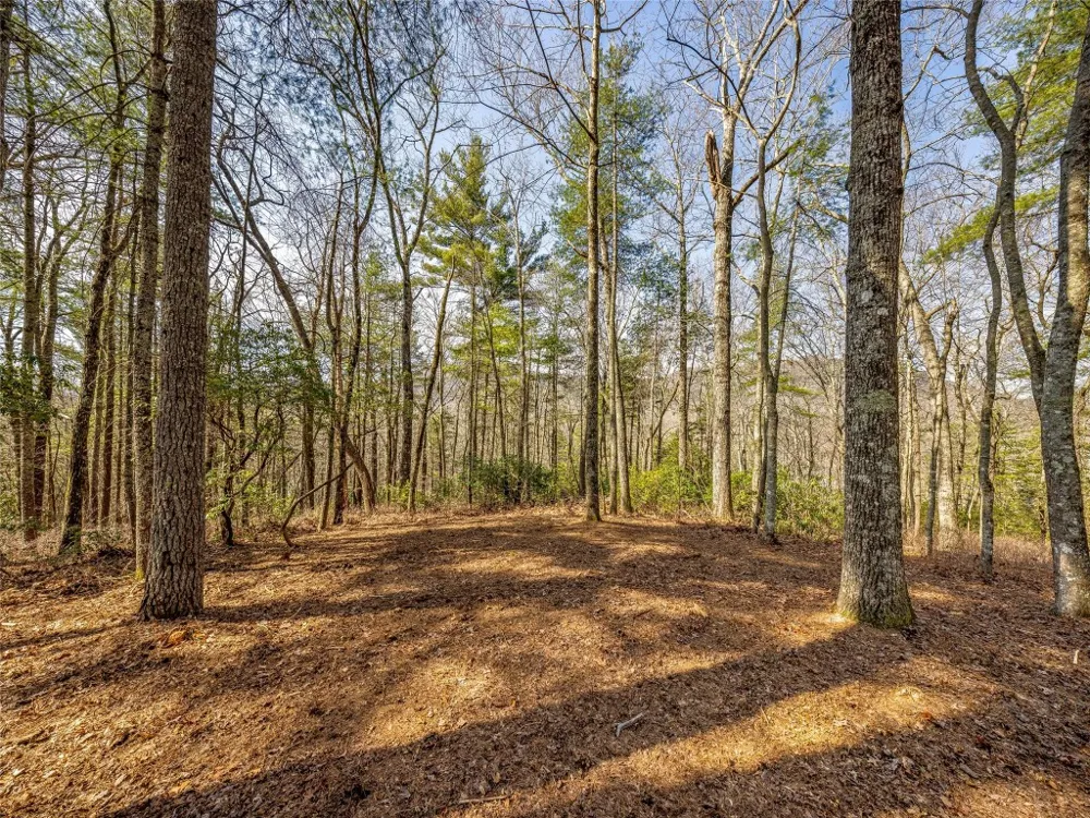 TBD Panther Ridge Road Lake Toxaway, NC 28747