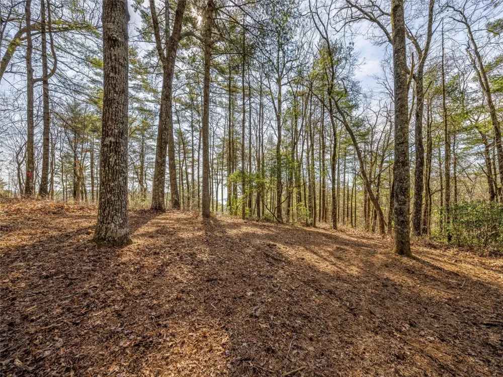 TBD Panther Ridge Road Lake Toxaway, NC 28747