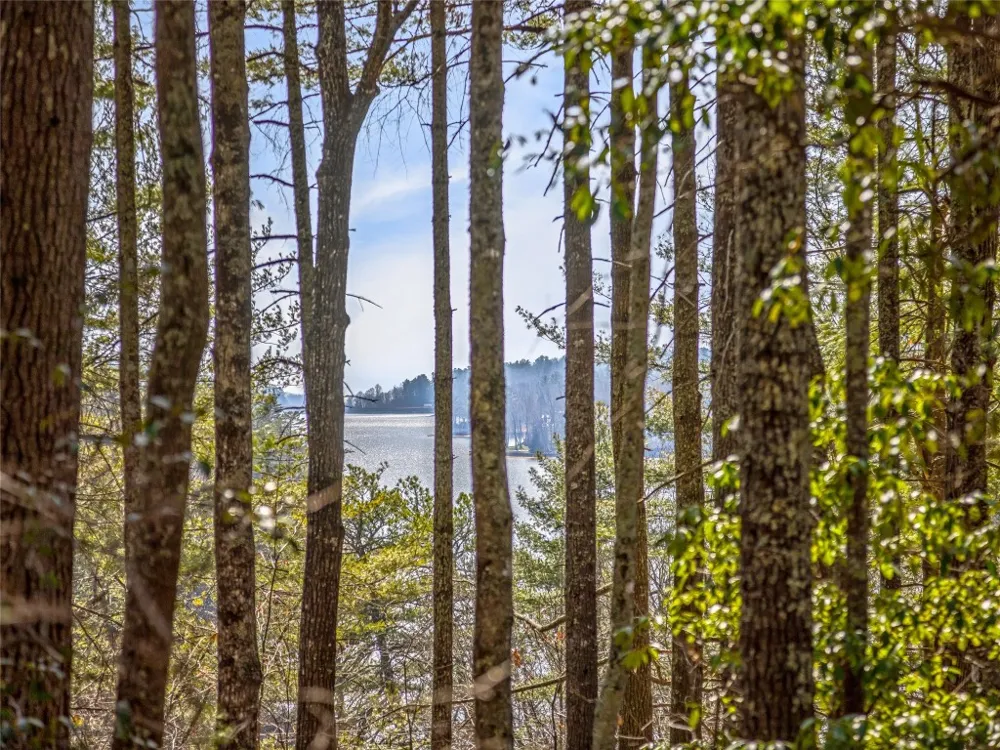 TBD Panther Ridge Road Lake Toxaway, NC 28747