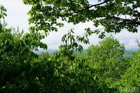 0 Cowee Ridge Road