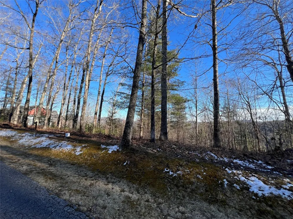 26 Shepherds Gap Road Cullowhee, NC 28723