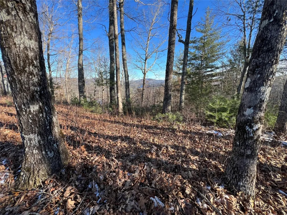 26 Shepherds Gap Road Cullowhee, NC 28723