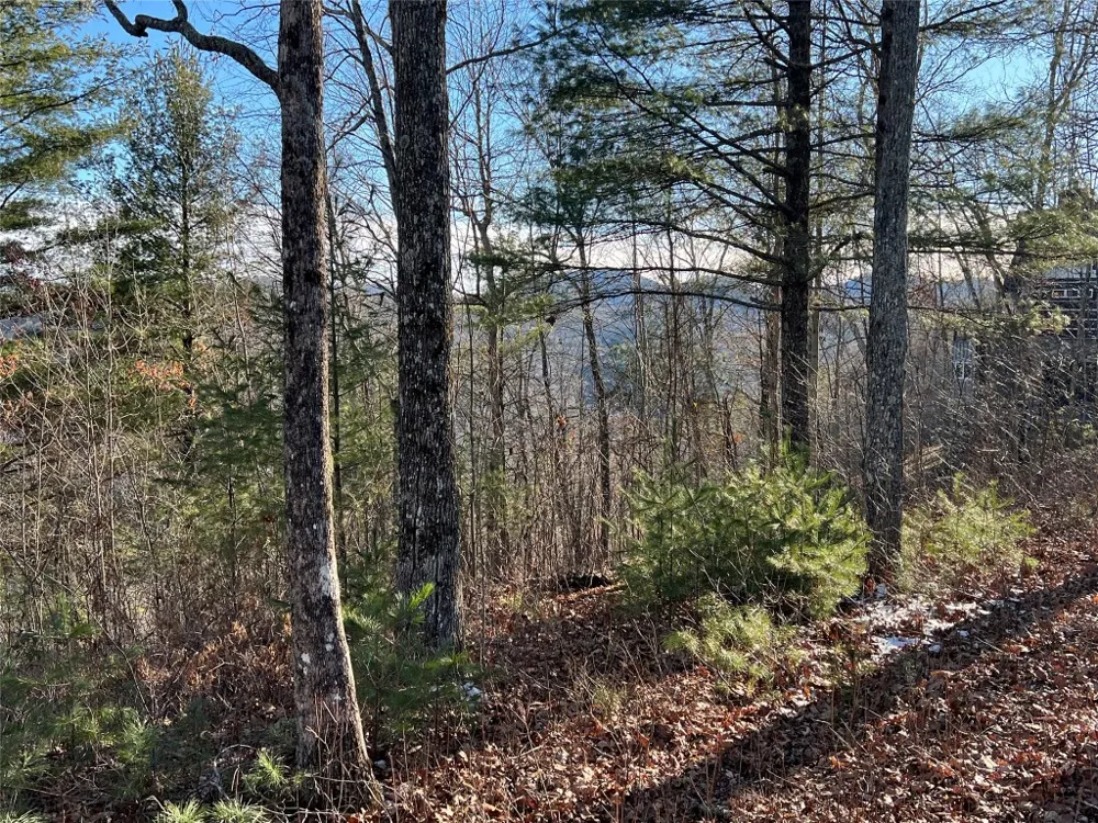 26 Shepherds Gap Road Cullowhee, NC 28723