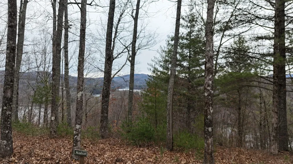 26 Shepherds Gap Road Cullowhee, NC 28723