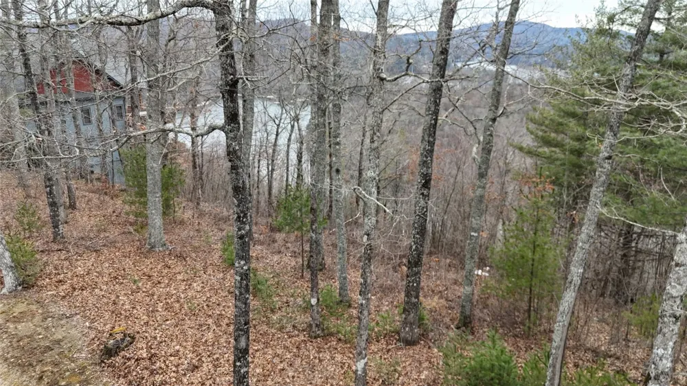 26 Shepherds Gap Road Cullowhee, NC 28723