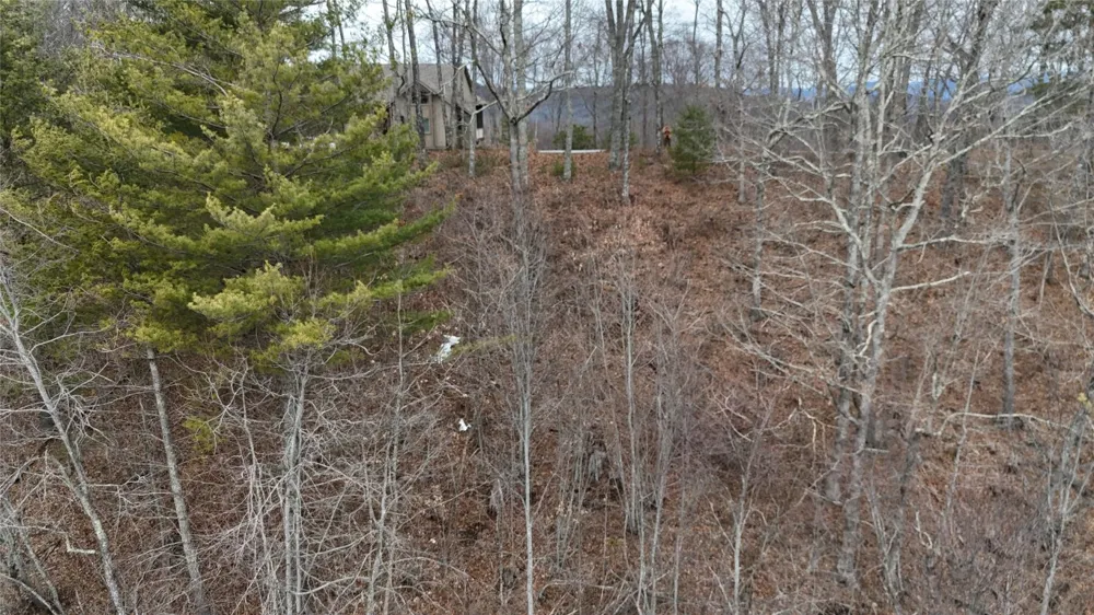 26 Shepherds Gap Road Cullowhee, NC 28723