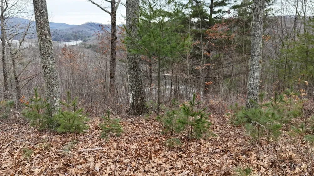 26 Shepherds Gap Road Cullowhee, NC 28723