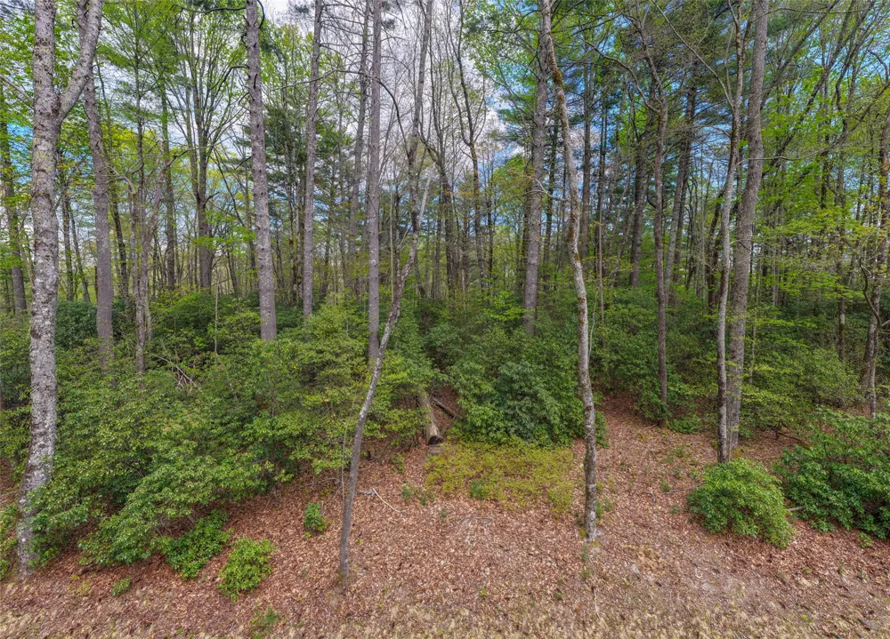 RT-6 Broadwing Cashiers, NC 28717