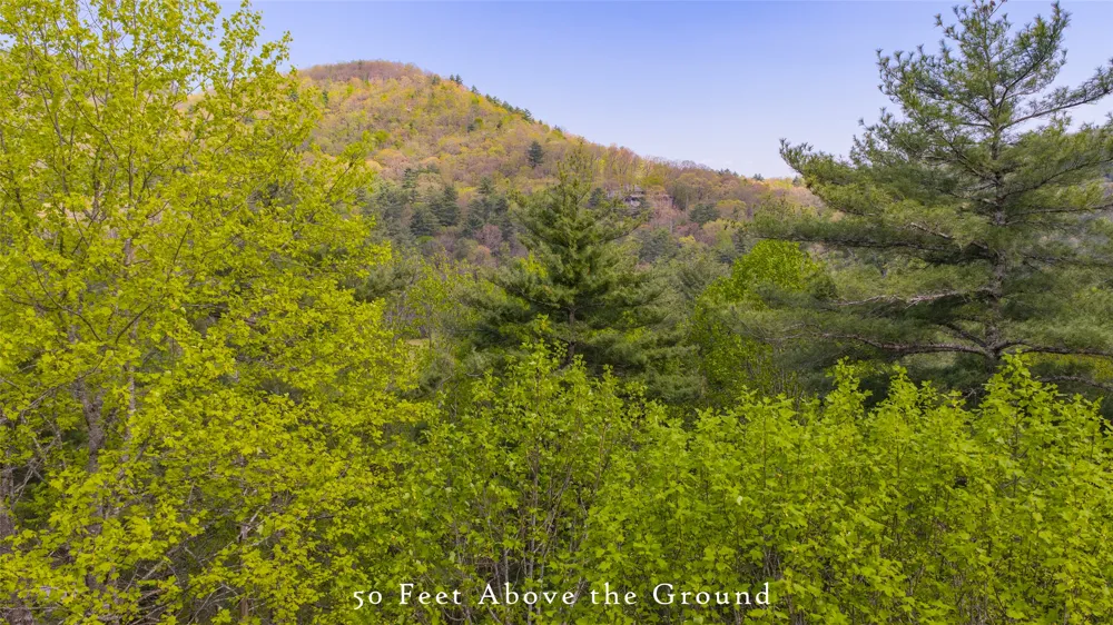 RT-6 Broadwing Cashiers, NC 28717