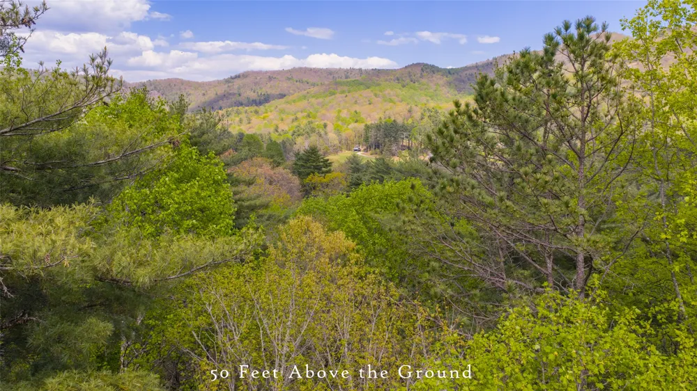 RT-6 Broadwing Cashiers, NC 28717