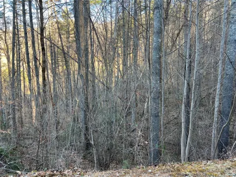 50 Rustling Woods Trail