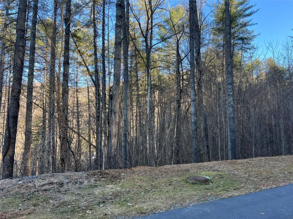 50 Rustling Woods Trail Cullowhee, NC 28723