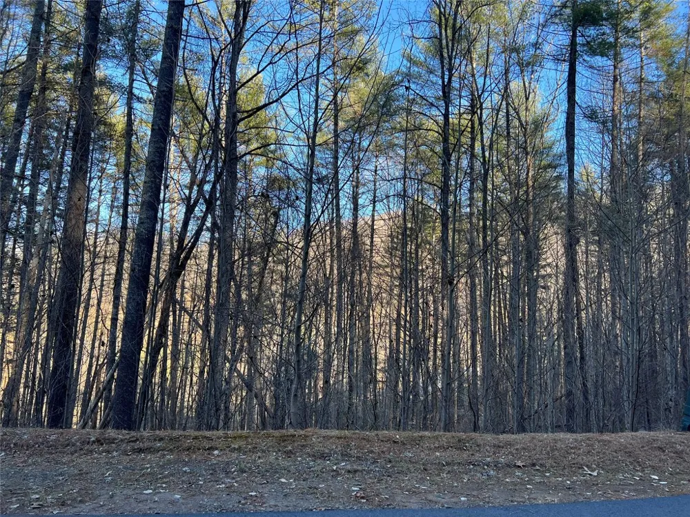 50 Rustling Woods Trail Cullowhee, NC 28723