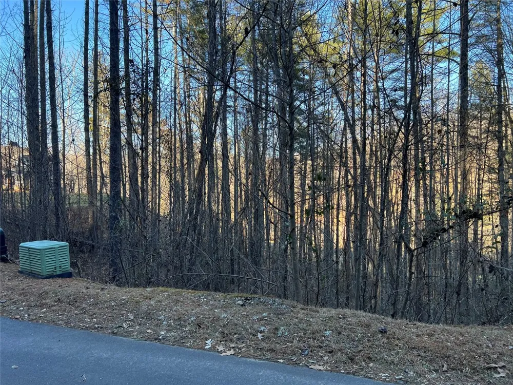 50 Rustling Woods Trail Cullowhee, NC 28723