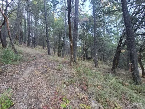 28990 Eel River Ranch Road
