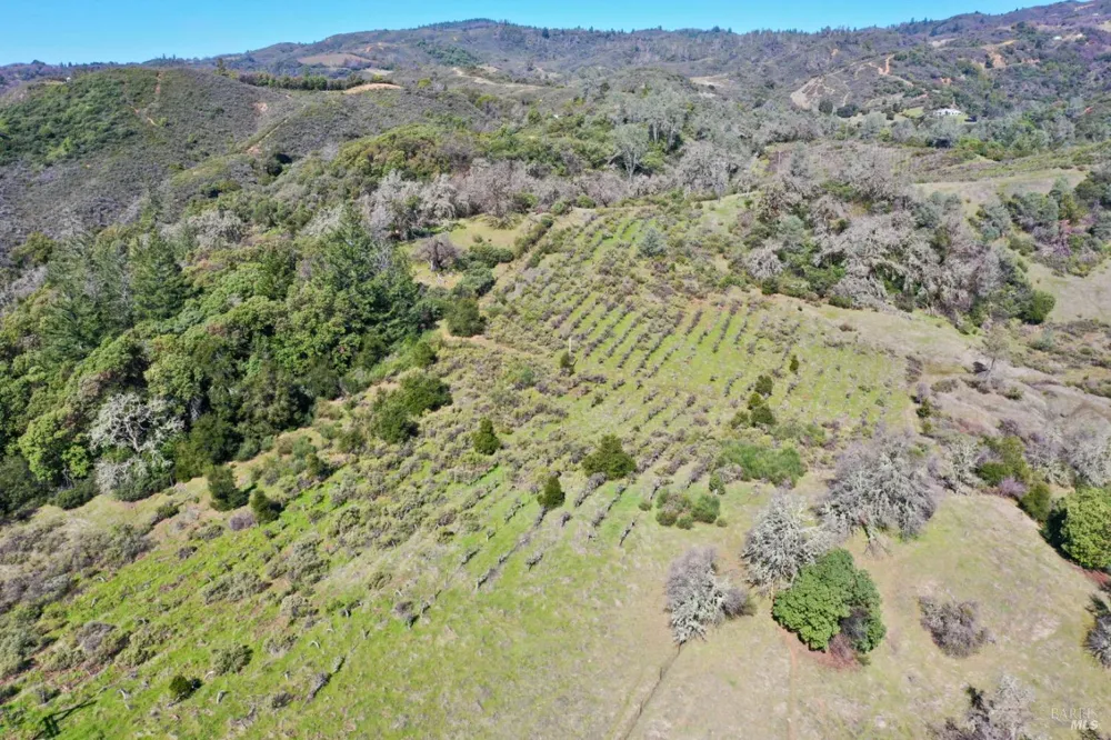 32400 Pine Mountain Road Cloverdale, CA 95425